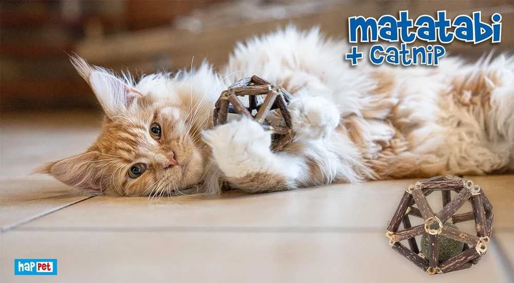 Happet Matatabi & Catnip barškutis