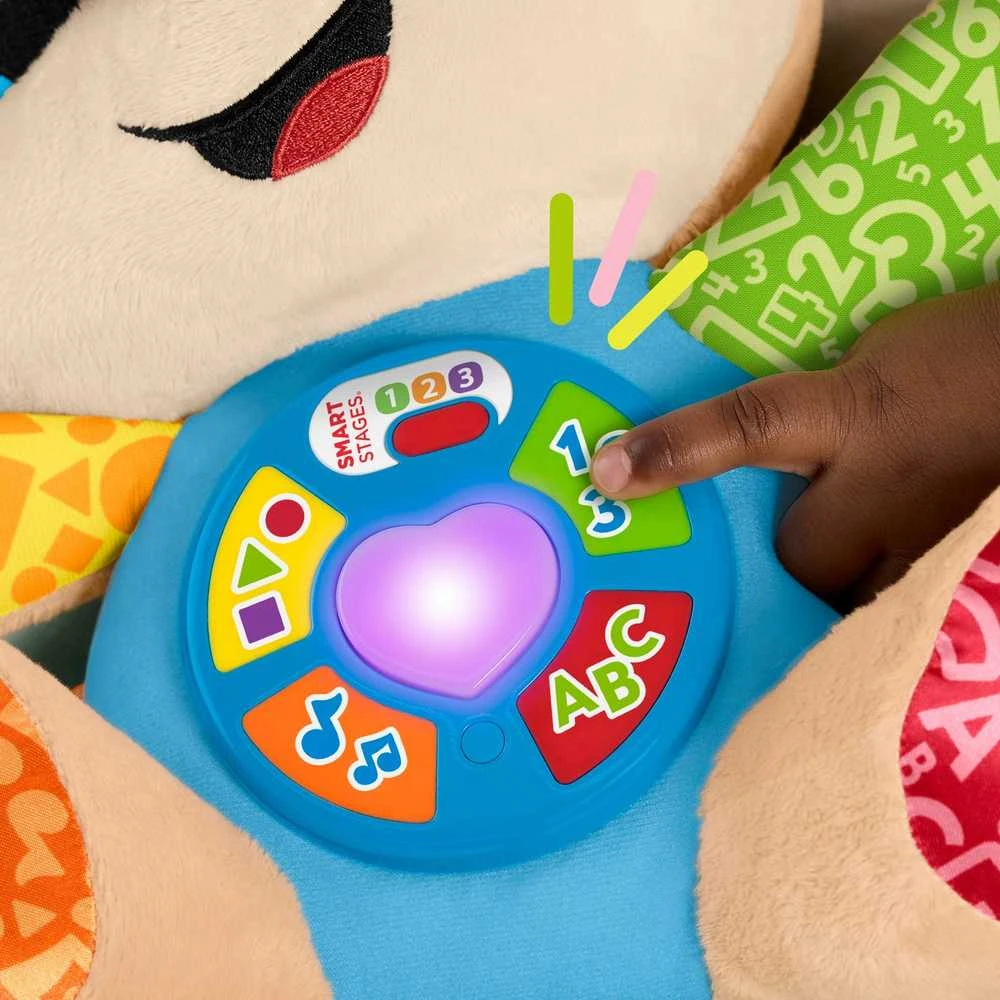Fisher Price Interaktyvus talismanas šuniukas moksleivis (lenk./angl./cz/sl./hu)