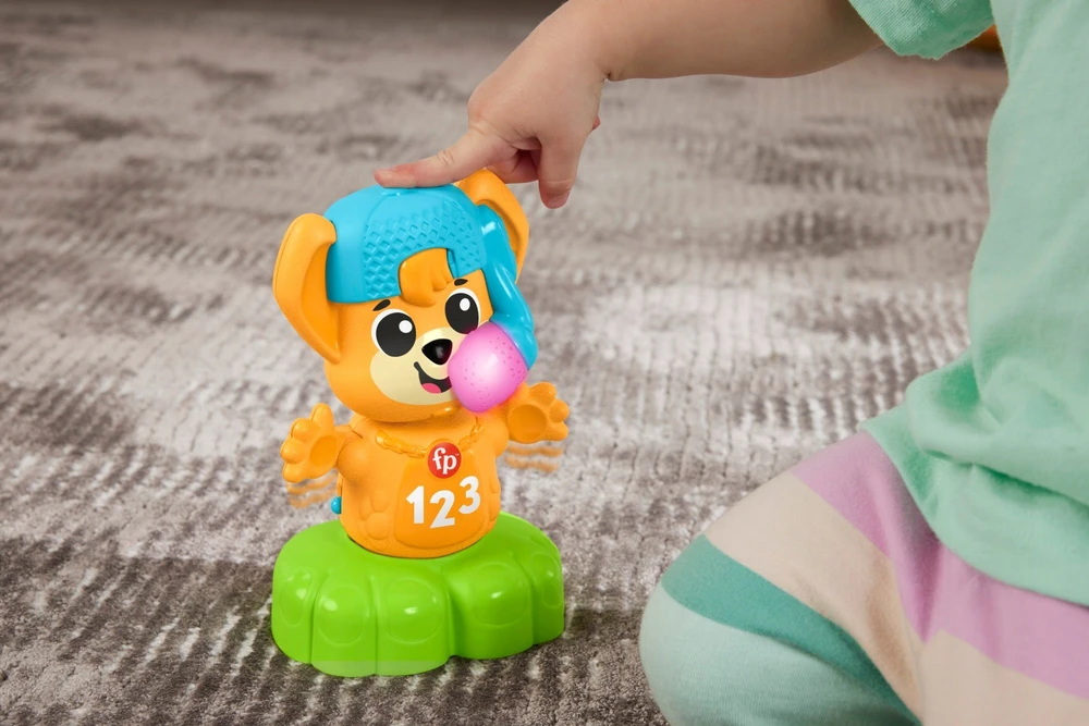 Fisher Price Mattel FP LS Fox muzikinės priešingybės HYL37 /2