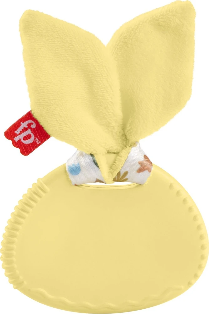 Fisher Price Mattel FP dėžutė / GRYZACZEK MIX HRB19 B/C6