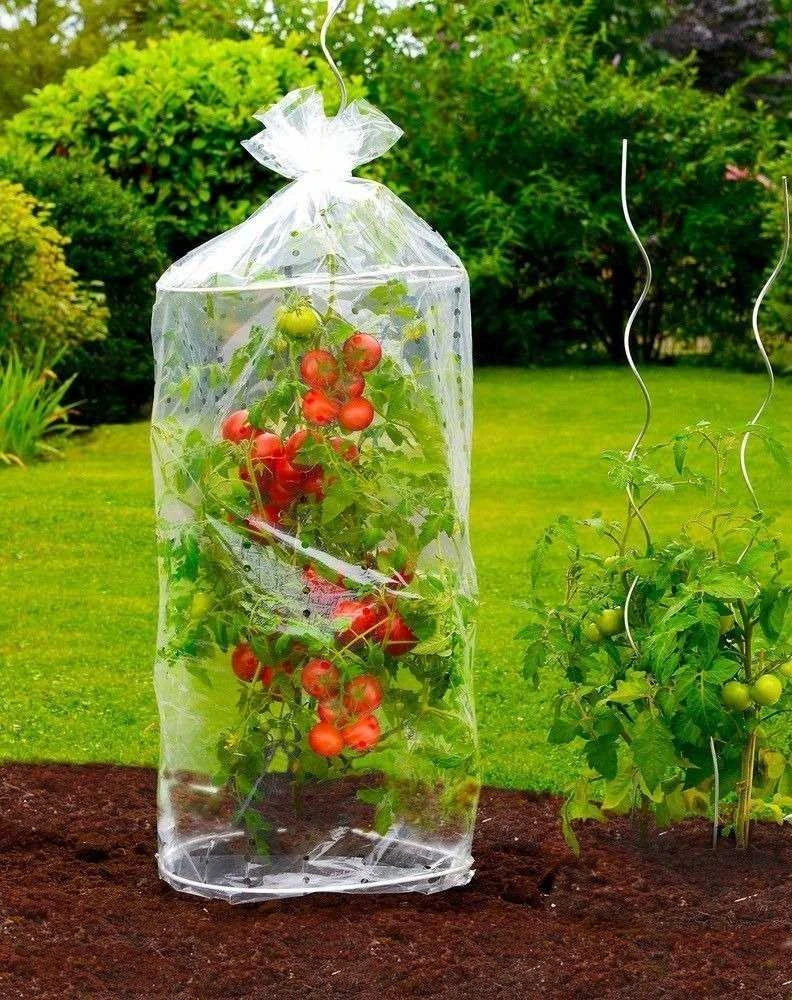 Maximex PIECES Apsauginė plėvelė pomidorams, 2 vnt