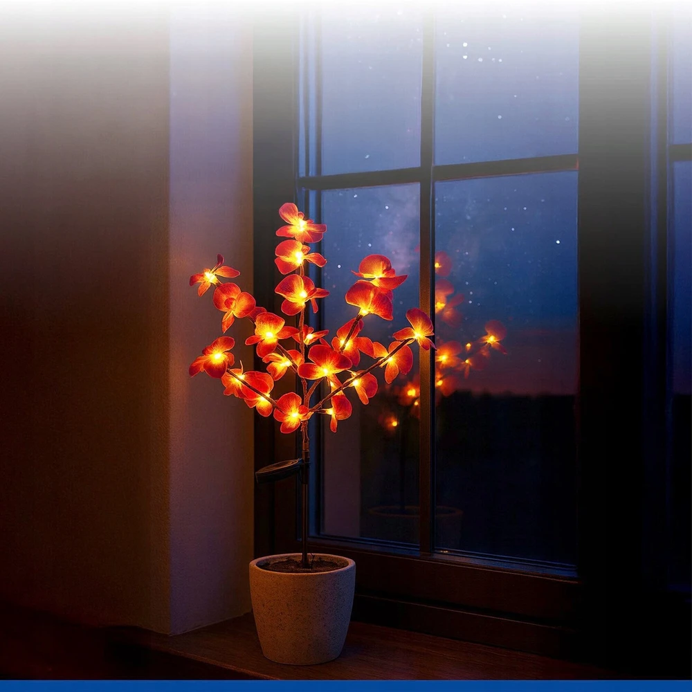 Maximex PIECES Saulės energija varomi sodo šviestuvai, LED orchidėjos, 2 dalių rinkinys, 75 cm