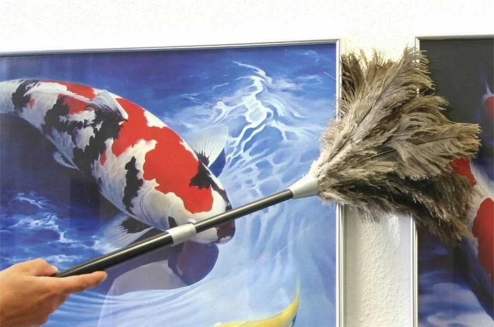 Maximex Teleskopinė dulkių šalinimo plunksna, stručio plunksnos