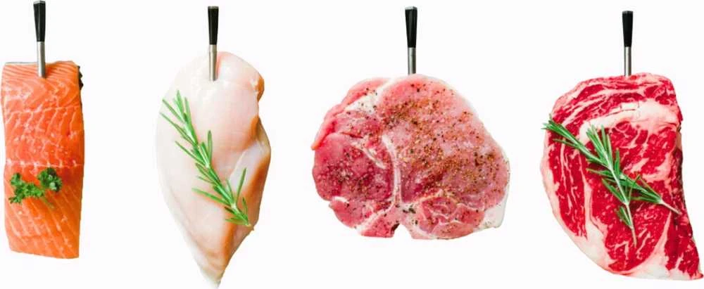 Bevielis maisto termometras MEATER+, išmanusis, 1 adata