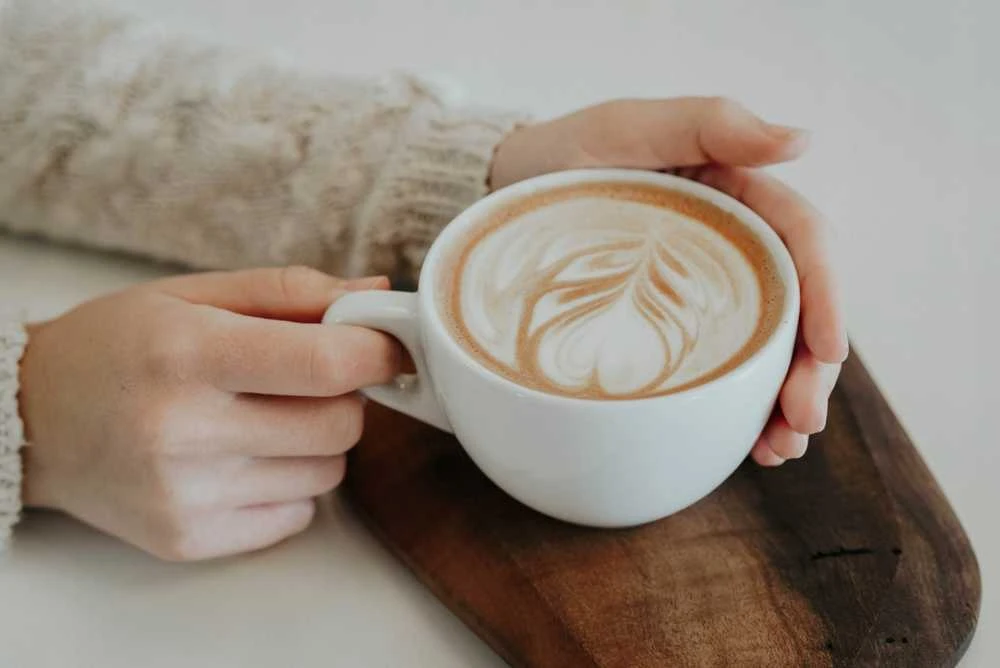 Kiti MELITTA kavavirių priežiūros rinkinys