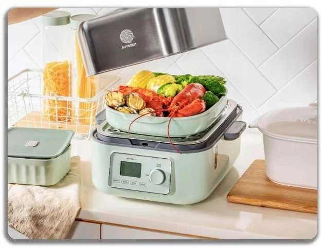 Garų puodas BUYDEEM daugiafunkcis skaitmeninis maisto garintuvas, modelis G564, spalva „Cozy Greenish“, ES