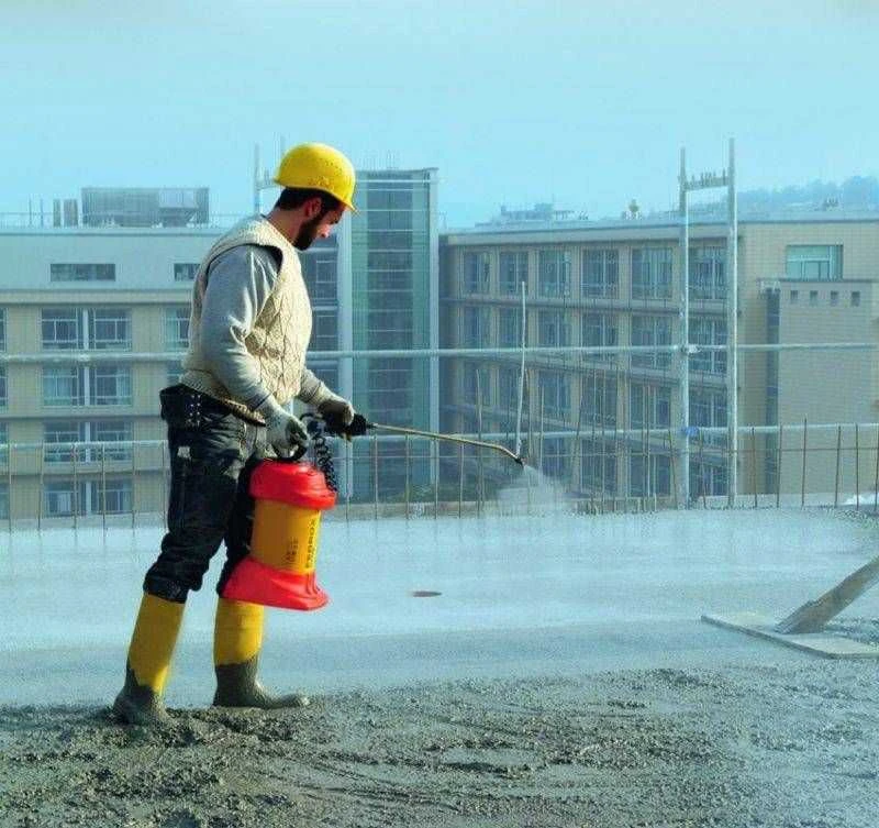 Mesto Alyvai atsparus statybinis purkštuvas Ferrox Plus 9 l