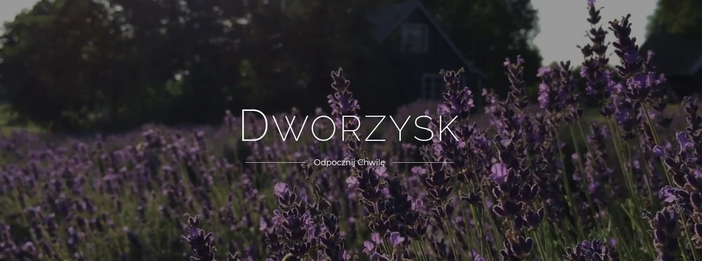 Dworzysk - Sveikatai - Biri arbata 50g