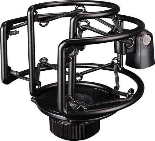 Mikrofonas Takstar PC-K750