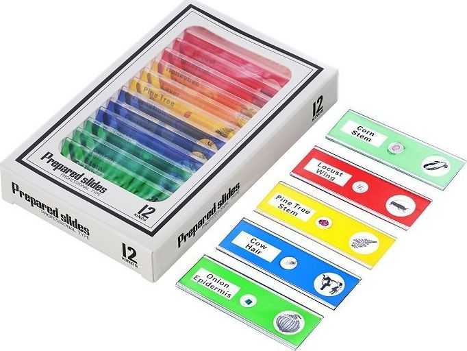 Mikroskopas Mikroskop Levenhuk Mikroskop cyfrowy Levenhuk LabZZ DM200 LCD