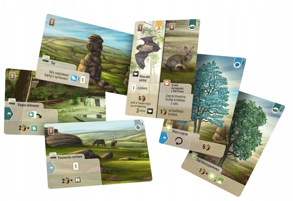 Rebel Forest giveaway: Dartmoor REBEL