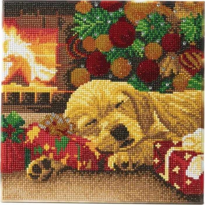 Paveikslas ant drobės 30x30cm su Labrador Epee mozaika