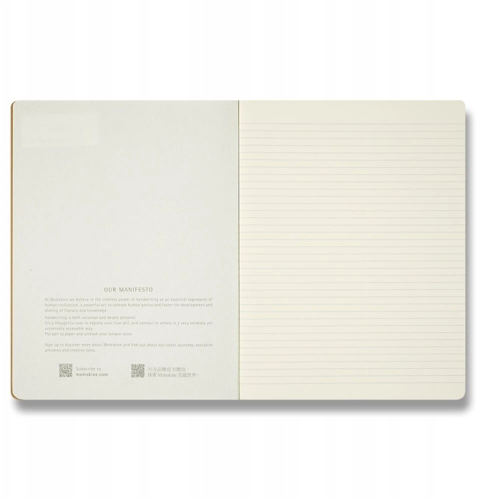 Moleskine 3 sąsiuvinių komplektas Cahier 2026 Alice, XL, 19x25cm (MS-1513782)