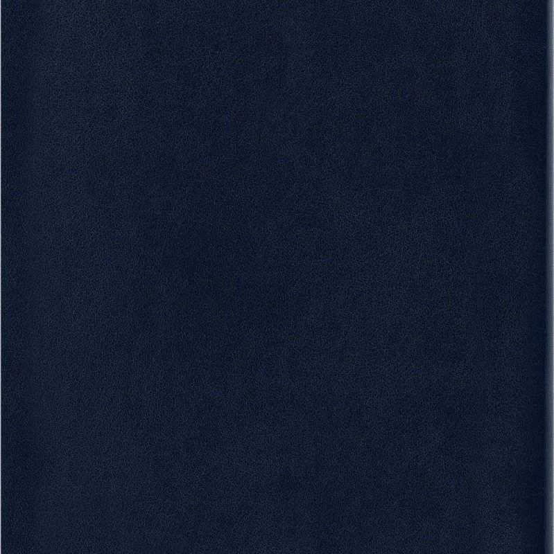 Moleskine MOLESKINA Pastabos L (13x21cm) į tinklelį, minkštas rėmelis, safyro mėlyna, 192 puslapių, mėlyna