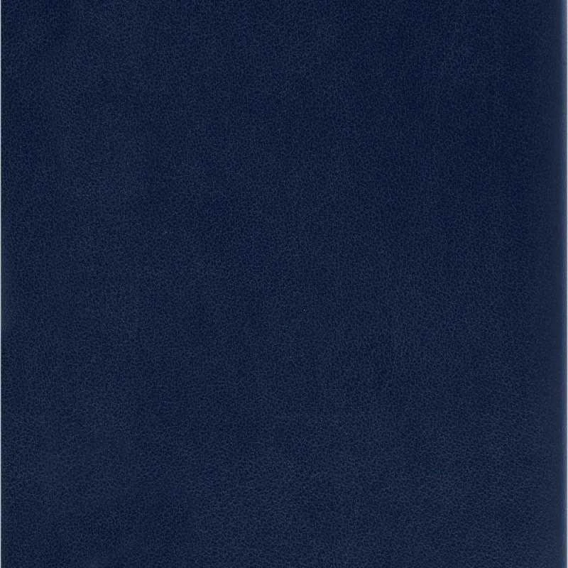 *Užrašų knygutė Moleskine Classic 9x14cm, baltais lapais, minkštu viršeliu, mėlynos spalvos