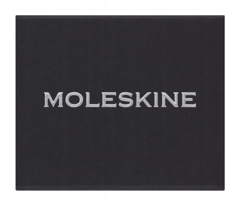 Moleskine Przypinka MOLESKINE Q, sidabrinė
