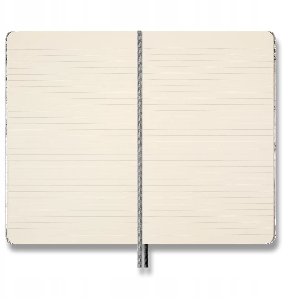 Moleskine rinkinys NASA: 2 segtukai + 1 sąsiuvinis L linijomis + 4 pieštukai (MS-9277543)