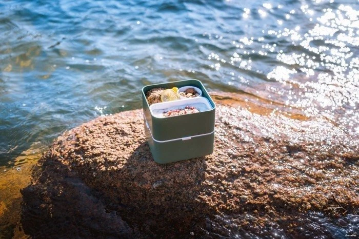 Monbento Bento aikštės grafinė džiunglių parduotuvė