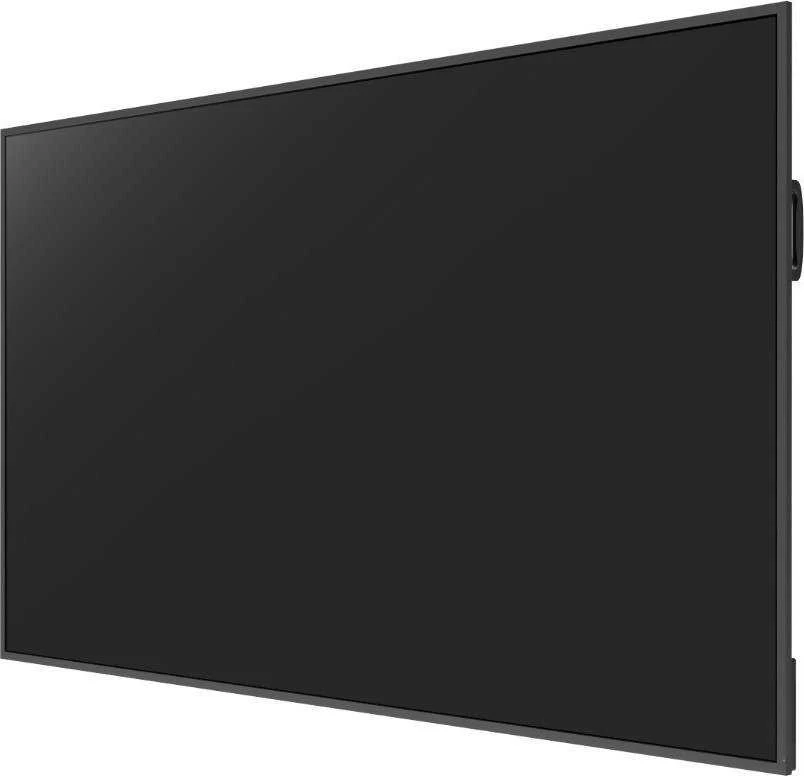 Informacijos monitorius Avtek DS 86