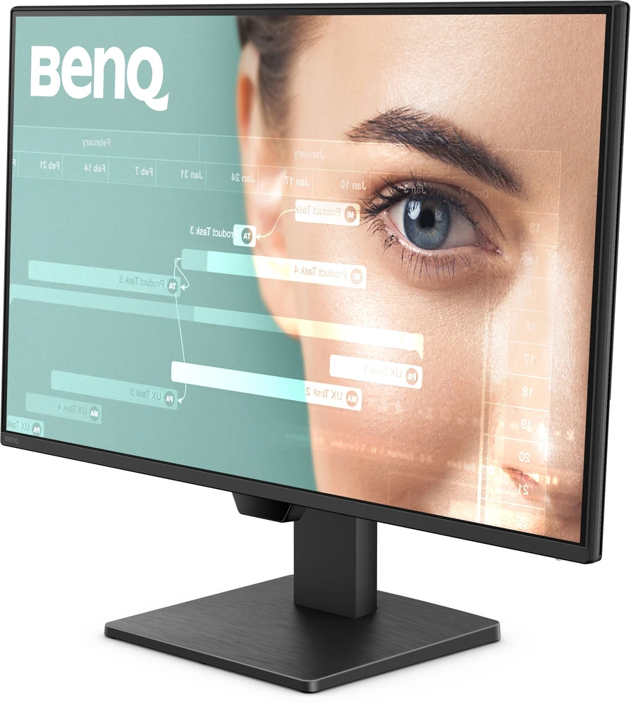 Monitorius BENQ GW2490P 23.8inch FHD IPS 120Hz 5ms HDMI DP Speakers