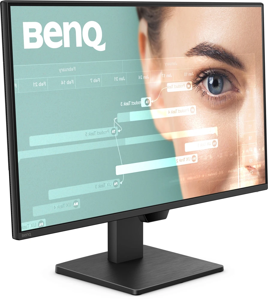 Monitorius BENQ GW2490P 23.8inch FHD IPS 120Hz 5ms HDMI DP Speakers