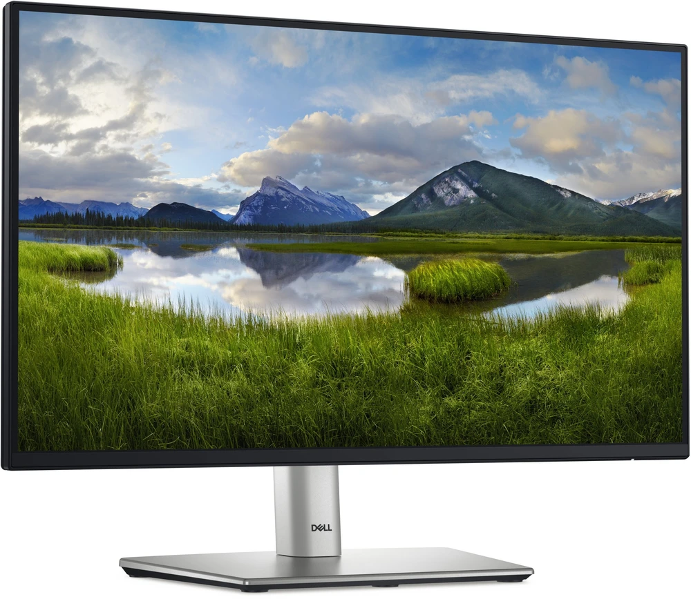 Monitorius Dell P Series P2225H (210-BMHD)