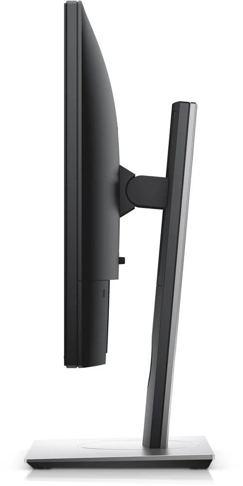 Monitorius Dell P1917S (210-AJBG)