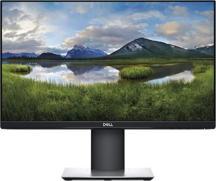 Monitorius Dell P2419H (210-APWU)