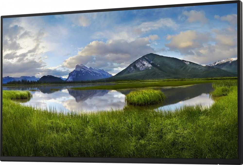 „Dell Pro Plus P2425HE“ (210-BMTC) monitorius be stovo