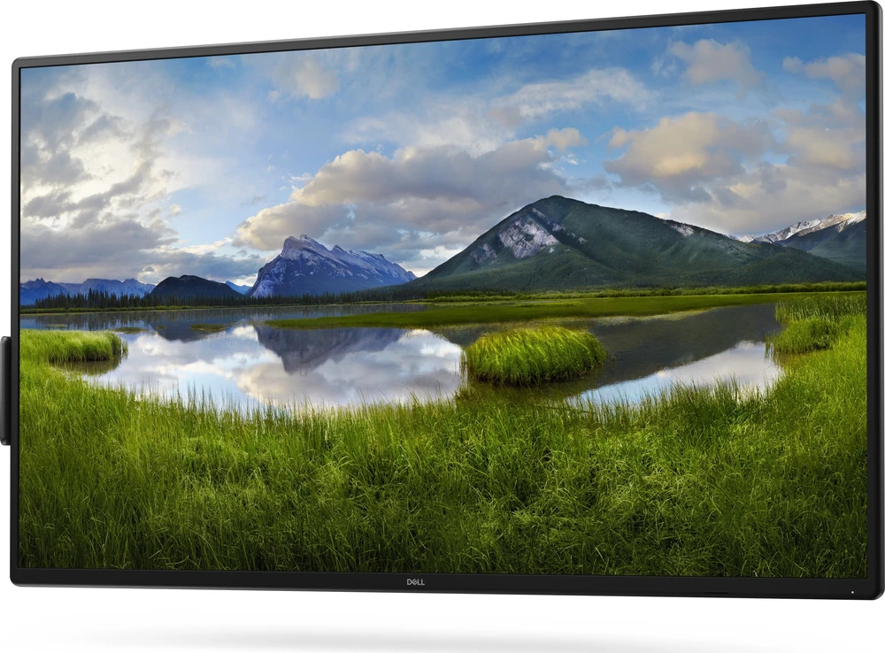 Monitorius Dell P5525QC Conference Room (210-BNTN)