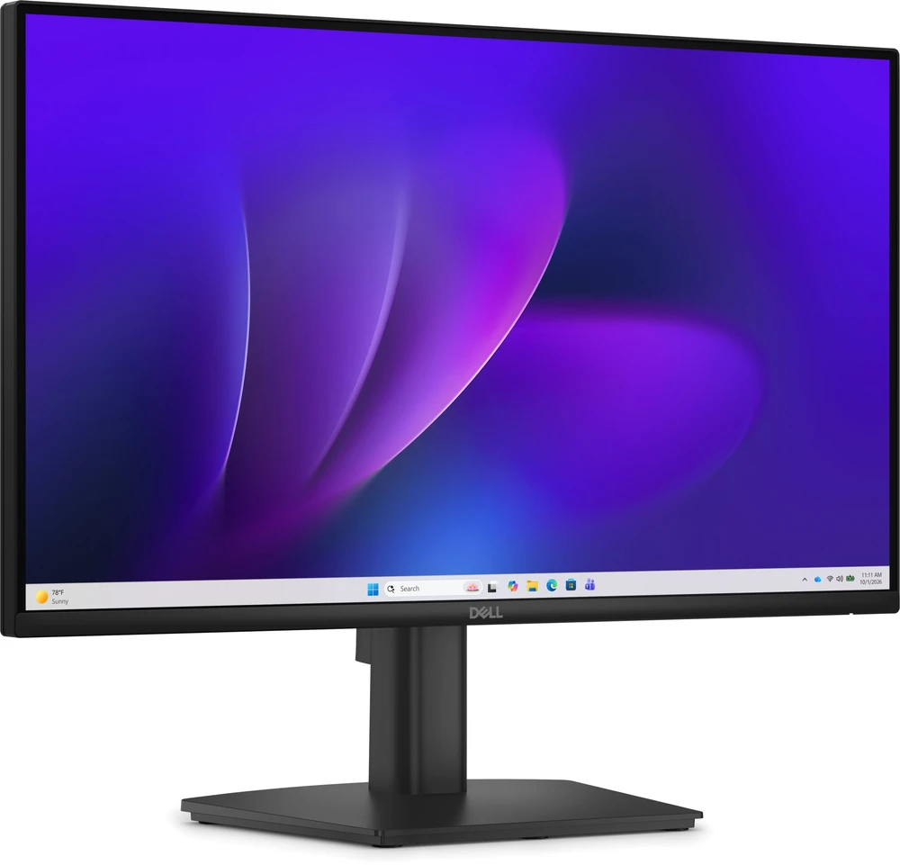 Monitorius Dell Pro E2226H (210-BWPG)