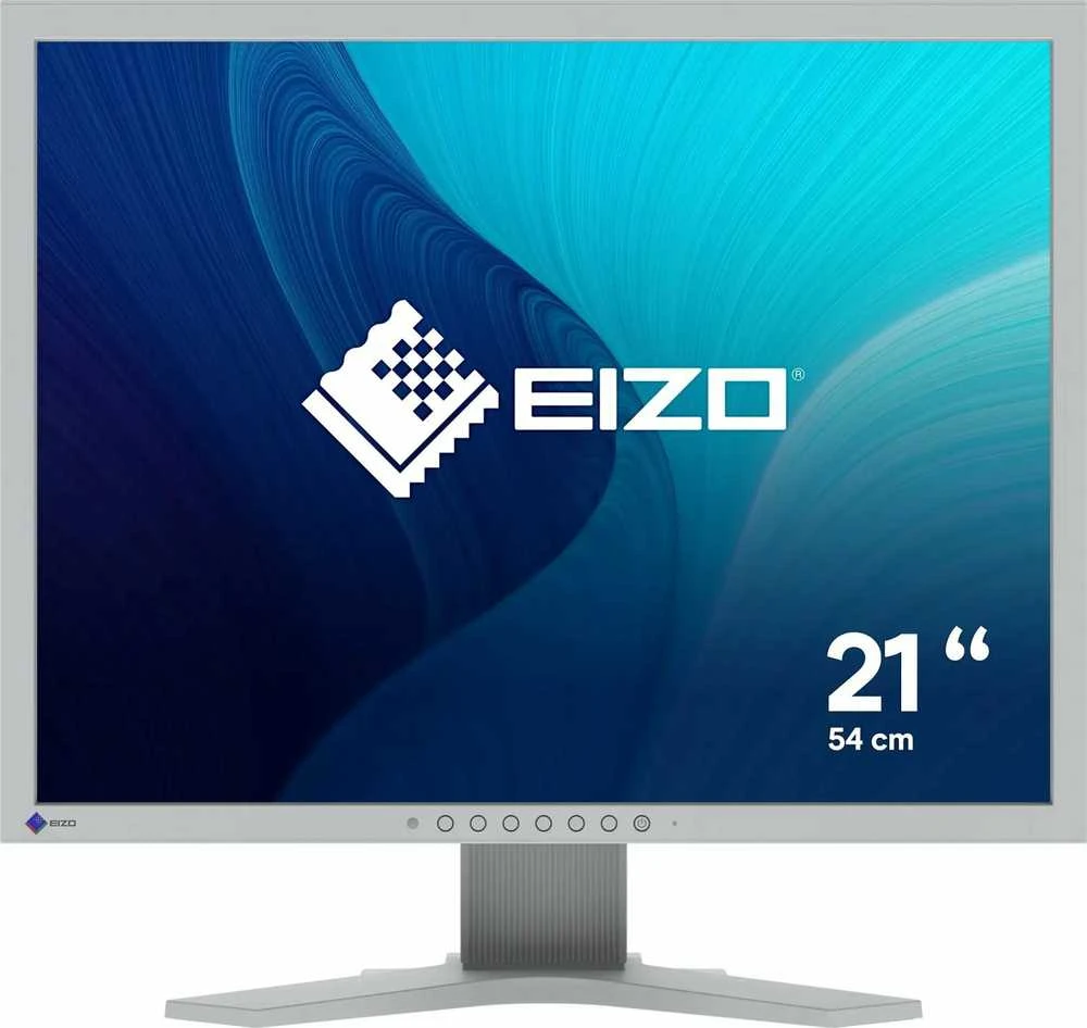 Monitorius EIZO FlexScan S2134-GY 21.3" TFT LCD 1600 x 1200 UXGA Pilkas