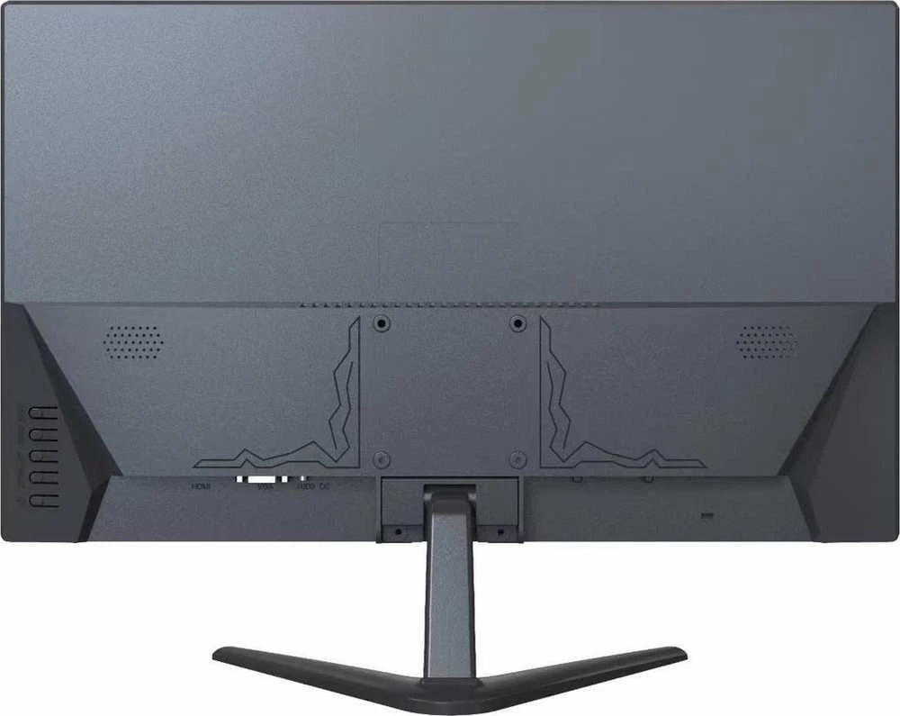 Monitorius Ernitec 0070-24127-F