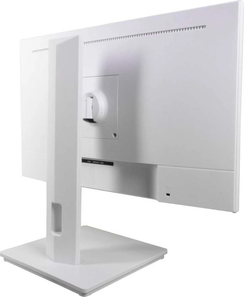 Monitorius Ernitec 0070-24127-F-W