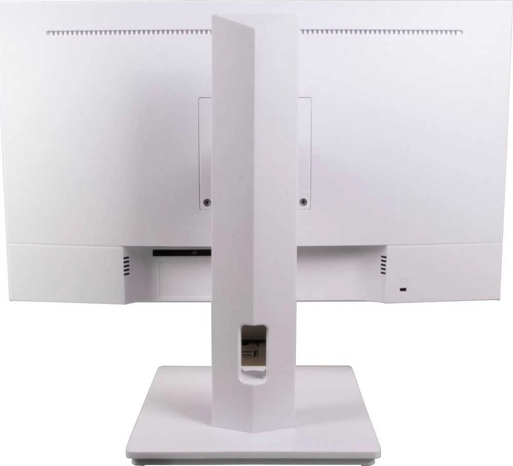 Monitorius Ernitec 0070-24127-F-W