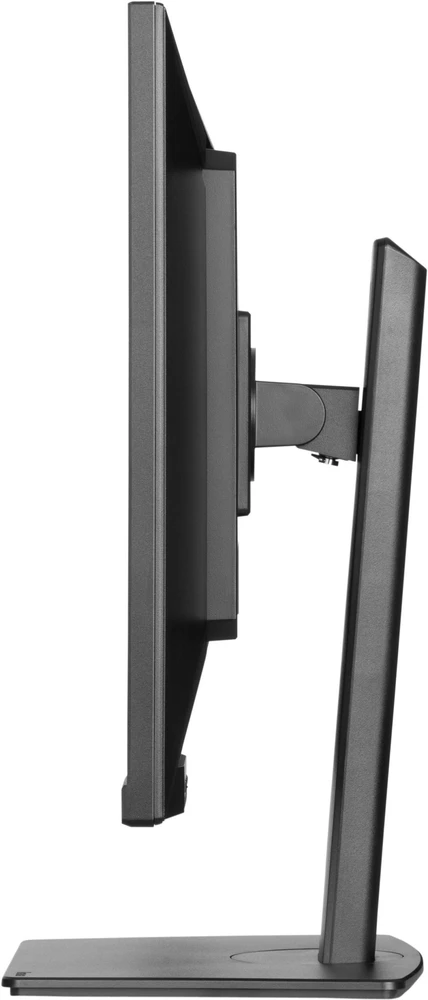 Monitorius „iiyama ProLite XUB3297QSNP-B1“ – 100 Hz | QHD | IPS | 32 colių + „Norton Small Business“