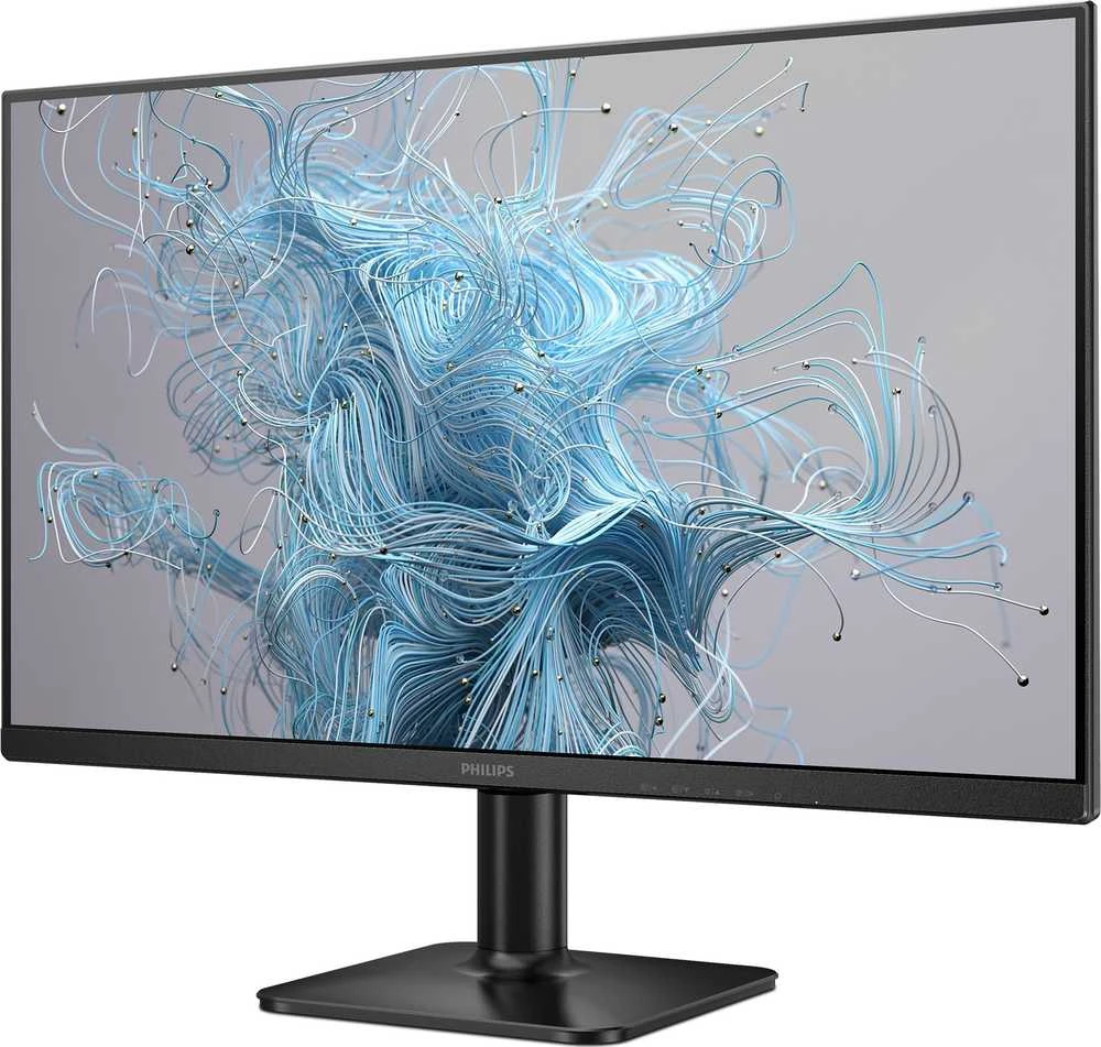 Mmd Monitors Displays PHILIPS 24E2N1100LB/00 23.8inch 1920x1080 100Hz HDMI D-Sub Juodas
