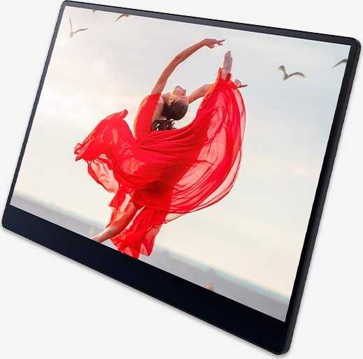 RICOH - Nešiojamas monitorius 150BW OLED 15,6'' (belaidis)