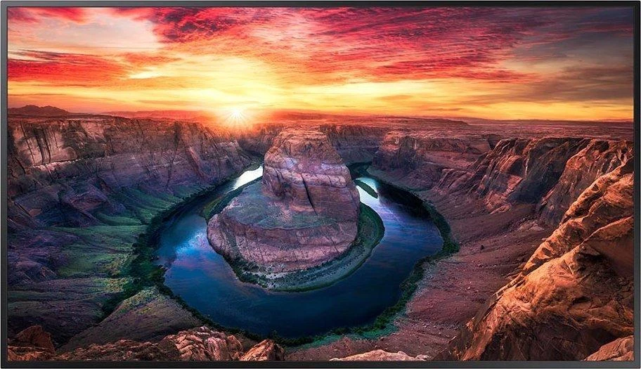 Monitorius Samsung QM43B-T, 43"