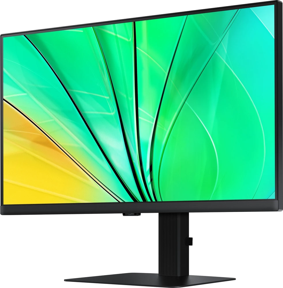 Monitorius Samsung LS24D600EAUXEN | 24 " | IPS | 16:9 | 100 Hz | 5 ms | 2560 x 1440 pikselių | 350 cd/m² | HDMI jungtys