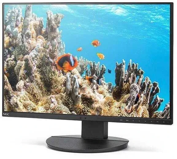 Monitorius Sharp DD-EA242W Juodas 24IN IPS - 1920X1200 16:10 300CD