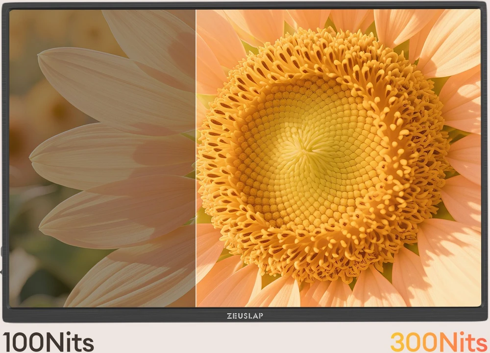 Monitorius ZEUSLAP Z14Lite Pro - 60Hz | Full HD | IPS | 14"