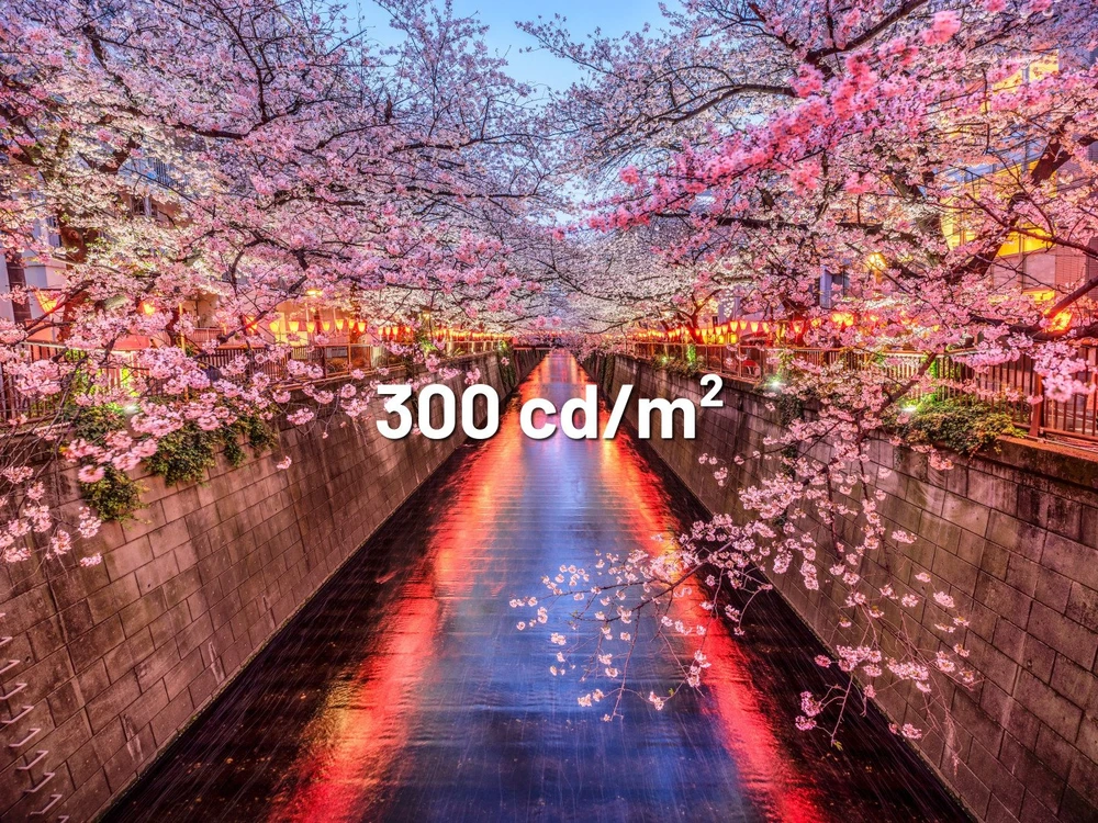 Carruzzo JAPANNEXT JN-I238FHD120F-HSP-YE kompiuterio monitorius 60,5 cm (23.8″) 1920 x 1080 pikseliai „Full HD“ LCD Geltona