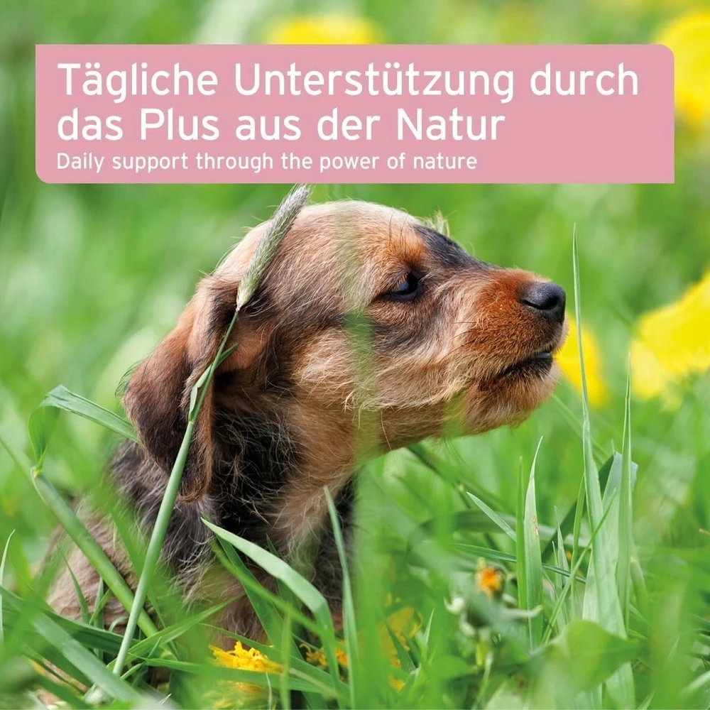 ANIFORTE Bladder formula - supplements for dogs - 100g