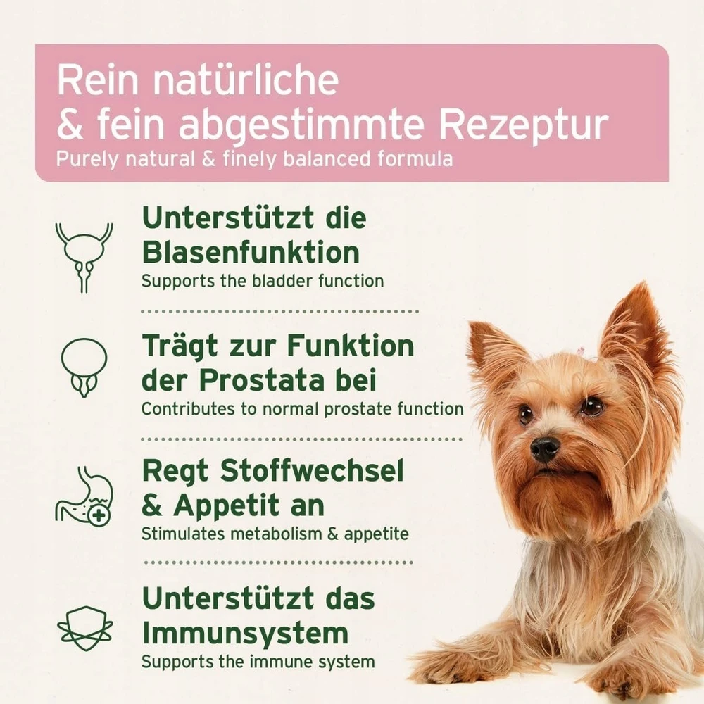 ANIFORTE Bladder formula - supplements for dogs - 100g