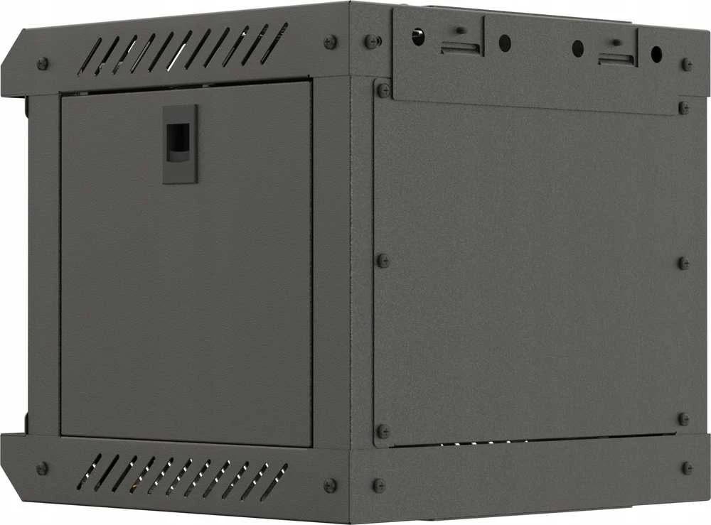 Lanberg pakabinama spintelė 19" 9U 600X450 rutulinės perforuotos durys