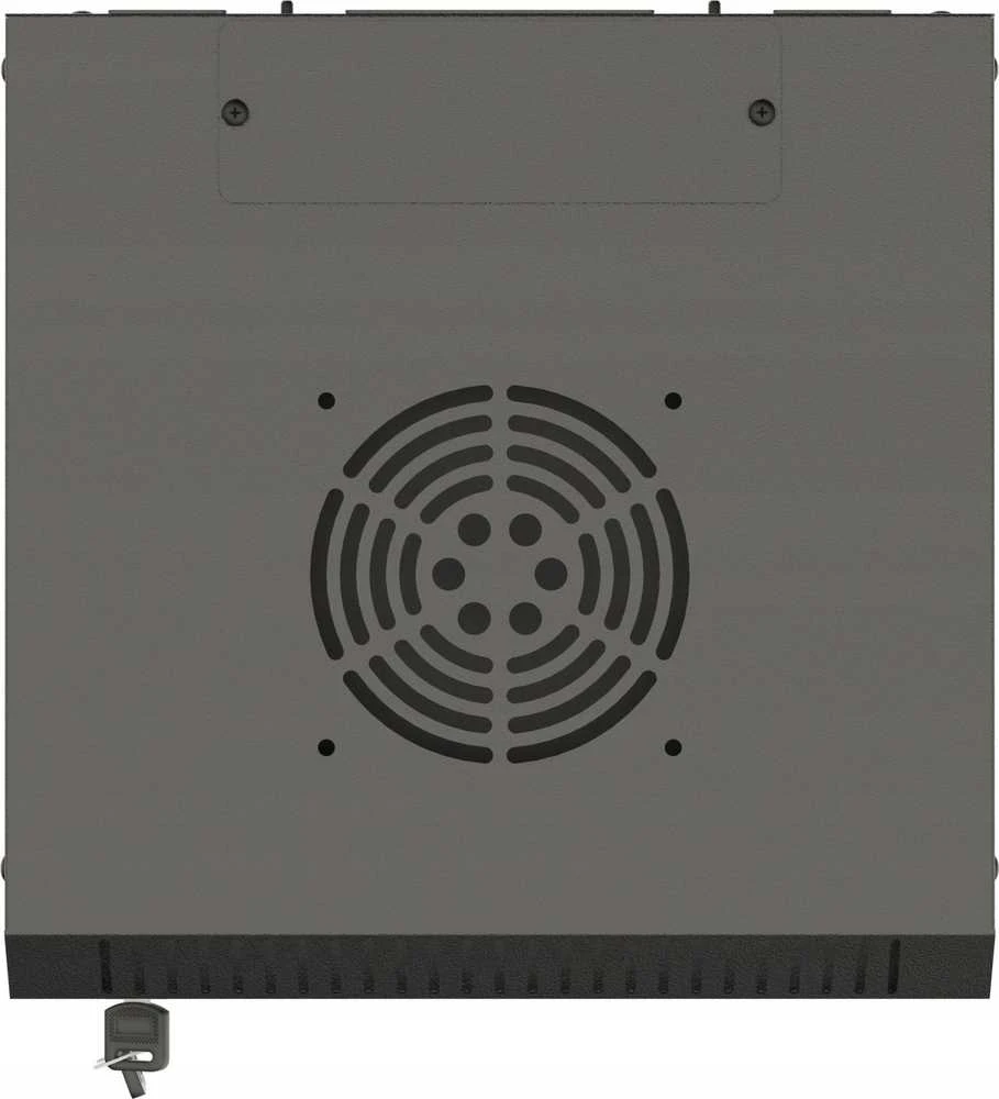 Lanberg pakabinama spintelė 19" 9U 600X450 rutulinės perforuotos durys
