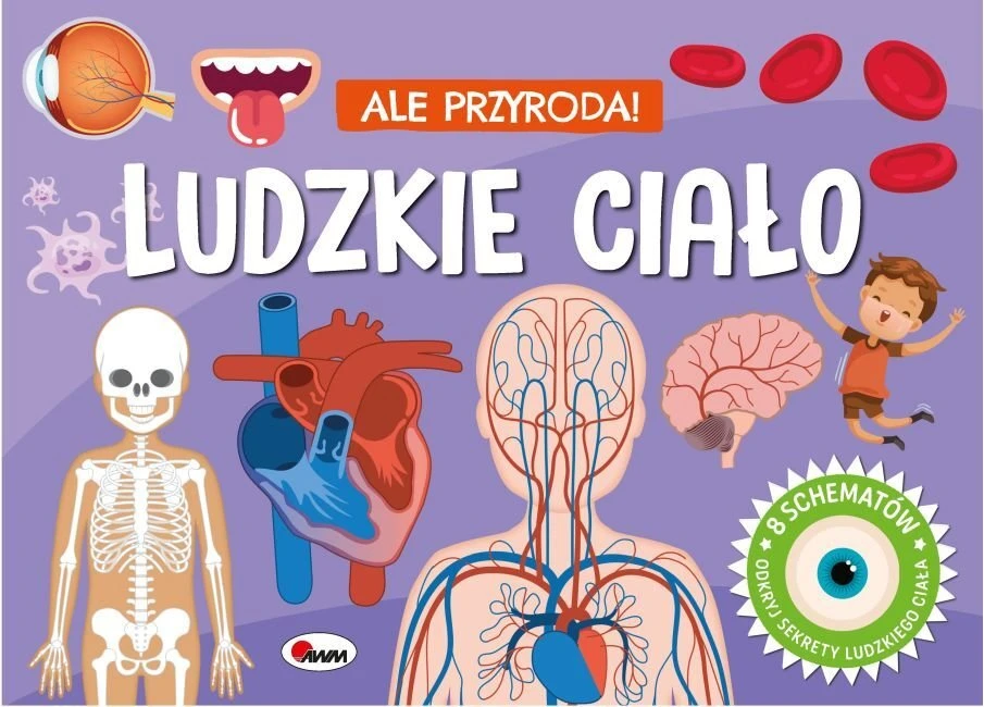 Morex But gamta žmogaus kūnas 15482