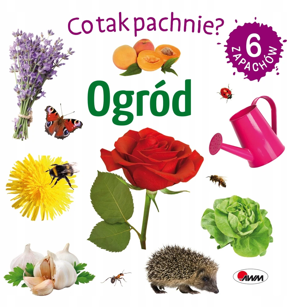 Morex Kas čia kvepia? Sodas 14706