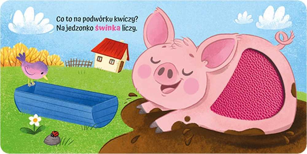 Morex Liečiu, žinau – Kaime 12788